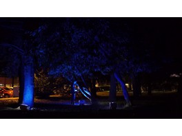 IntiLED стал спонсором международного фестиваля света и светового искусства Tartu Valgus / Tartu in Light