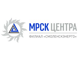Губернатор Смоленской области и гендиректор ПАО «МРСК Центра» обсудили развитие электросетевого комплекса региона